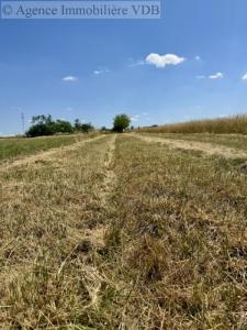 Annonce Vente Terrain Haraucourt 54