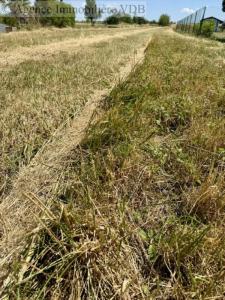 Acheter Terrain Haraucourt Meurthe et moselle