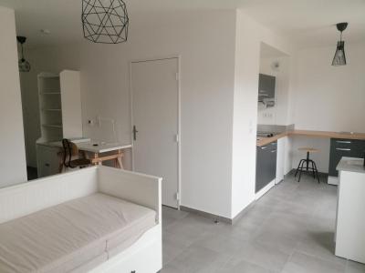 Annonce Location Appartement Lyon-7eme-arrondissement 69