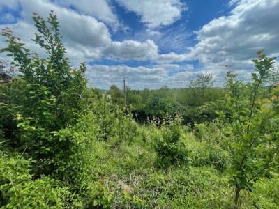 Acheter Maison 93 m2 Belleville-sur-meuse