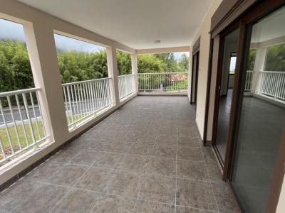 Annonce Location 5 pi�ces Maison Plaine-des-palmistes 974