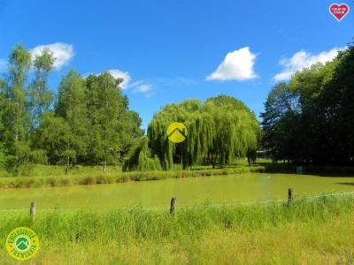 For sale Savigny-en-sancerre Cher (18240) photo 0