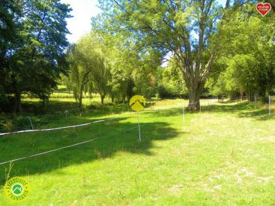 For sale Savigny-en-sancerre Cher (18240) photo 1