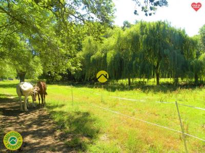 For sale Savigny-en-sancerre Cher (18240) photo 2