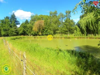 For sale Savigny-en-sancerre Cher (18240) photo 3