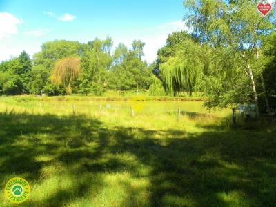 For sale Savigny-en-sancerre Cher (18240) photo 4
