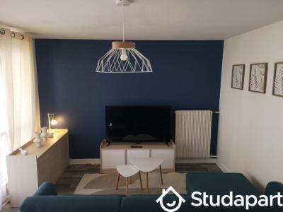 Annonce Location Appartement Orleans 45