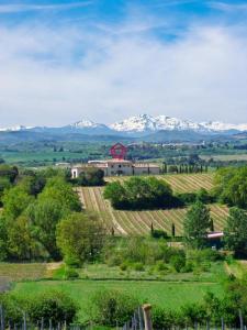 For sale Limoux 7 rooms 230 m2 Aude (11300) photo 0