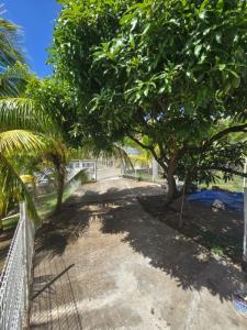 Louer Maison Robert Martinique