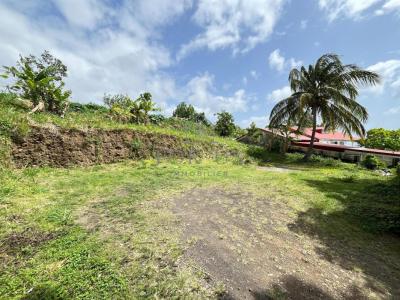 Annonce Vente Terrain Gourbeyre 971