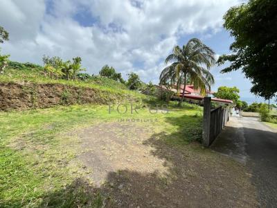 Acheter Terrain 545 m2 Gourbeyre
