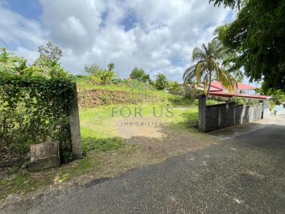 Acheter Terrain Gourbeyre Guadeloupe