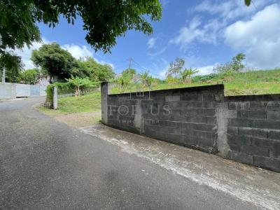 Acheter Terrain Gourbeyre 90000 euros