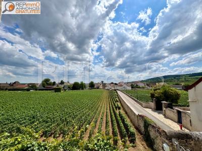 For sale Beaune Coeur de village 8 rooms 138 m2 Cote d'or (21200) photo 3