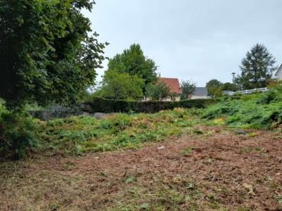Annonce Vente Terrain Beauvain 61