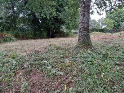 Acheter Terrain Beauvain Orne