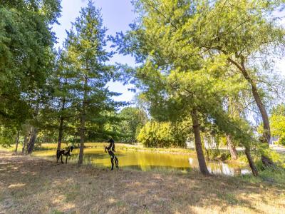 Annonce Vente 9 pi�ces Maison Romorantin-lanthenay 41