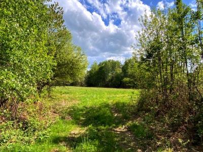 Annonce Vente Terrain Dussac 24