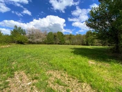 Acheter Terrain 15743 m2 Dussac