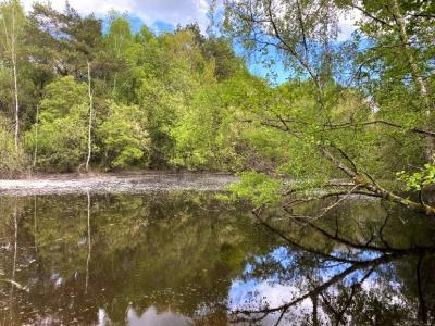 Acheter Terrain Dussac Dordogne