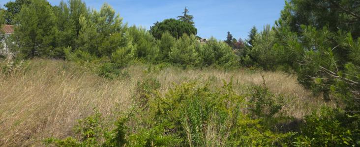 For sale Marseillette 1430 m2 Aude (11800) photo 1
