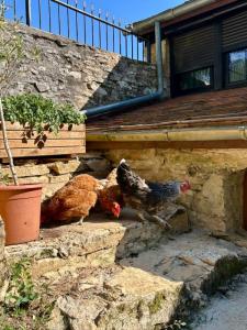 Annonce Vente 3 pi�ces Maison Saint-martial-d'albarede 24