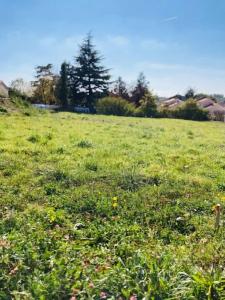 For sale Oudon 514 m2 Loire atlantique (44521) photo 0