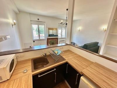 Annonce Location Appartement Villeurbanne 69