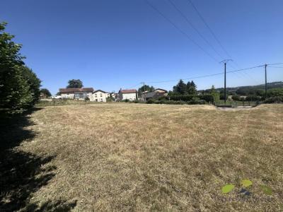 Annonce Vente Terrain Saint-leonard-de-noblat 87