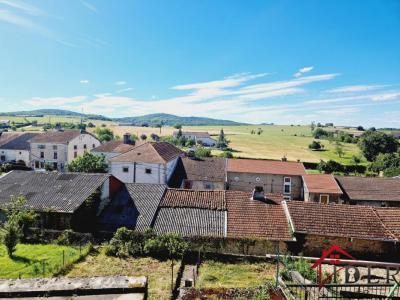Annonce Vente 3 pi�ces Maison Chatillon-sur-saone 88