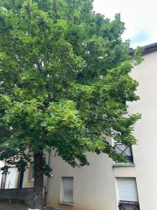 Acheter Appartement Fameck Moselle