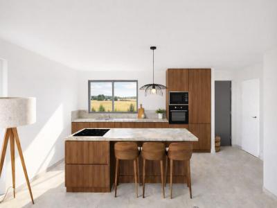 Acheter Maison 75 m2 Isle-sur-la-sorgue