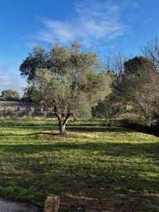 For rent AIX NORD 7 rooms 136 m2 Bouches du Rhone (13770) photo 4