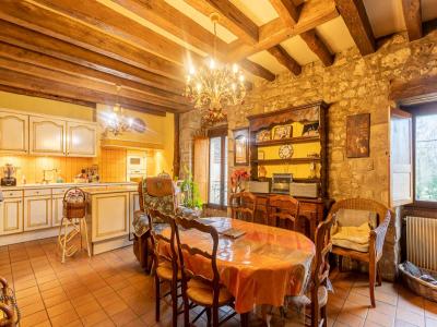 For sale Villefranche-sur-cher 6 rooms 281 m2 Loir et cher (41200) photo 3