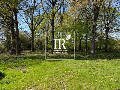 Annonce Vente 5 pi�ces Maison Vierzon 18