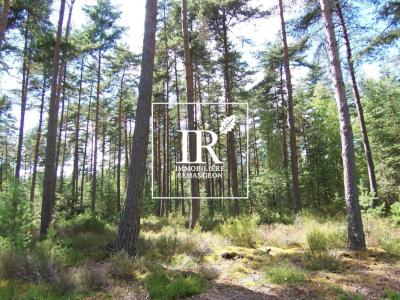 For sale Romorantin-lanthenay 1 room 202 m2 Loir et cher (41200) photo 0
