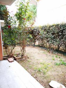 Louer Appartement 45 m2 Cepet