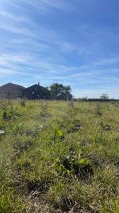 For sale Jallaucourt 1736 m2 Moselle (57590) photo 0