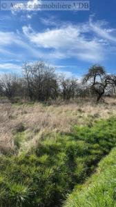 Acheter Terrain 668 m2 Arracourt