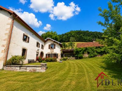 Annonce Vente 7 pi�ces Maison Val-d'ajol 88