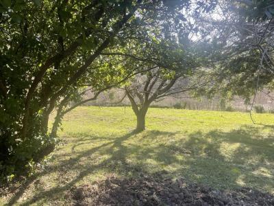 For sale CENTRE VILLAGE 6 rooms 110 m2 Gard (30160) photo 4