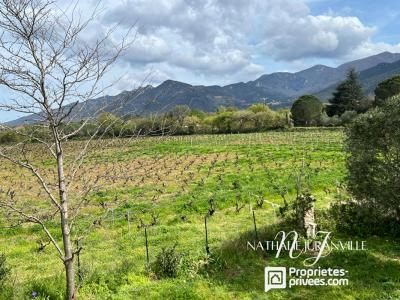 Acheter Maison Laroque-des-alberes 473000 euros