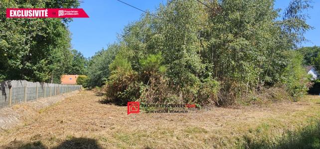 For sale Egreville 3921 m2 Seine et marne (77620) photo 0