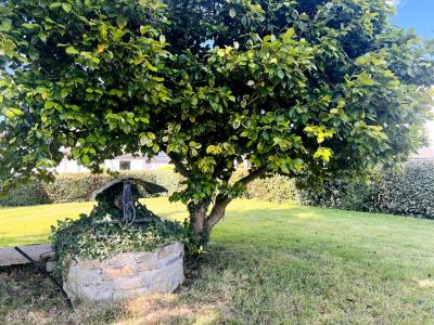 Acheter Maison Reguiny Morbihan