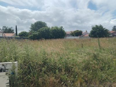 Annonce Vente Terrain Haie-fouassiere 44