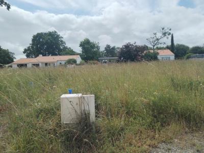 Acheter Terrain 320 m2 Haie-fouassiere