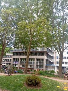 Louer Appartement Rouen 521 euros