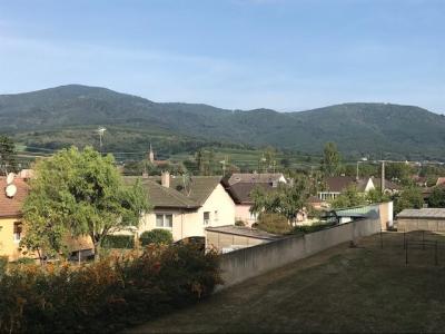 Louer Appartement 69 m2 Cernay
