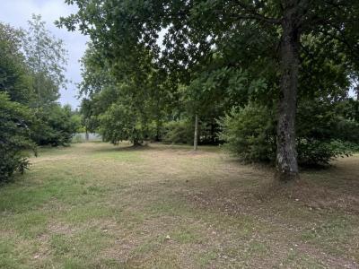 For sale Porge 790 m2 Gironde (33680) photo 0