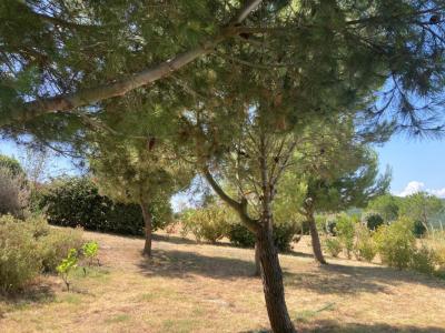 For sale Montclar 6 rooms 150 m2 Aude (11250) photo 4